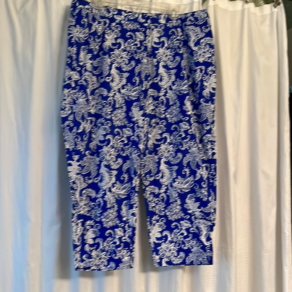 Linea by Louis Dell’Olio Blue/white capris size 20W.